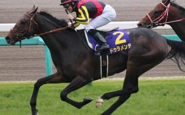 皐月賞男が単独トップとなった日 ドゥラメンテの勝利から10年