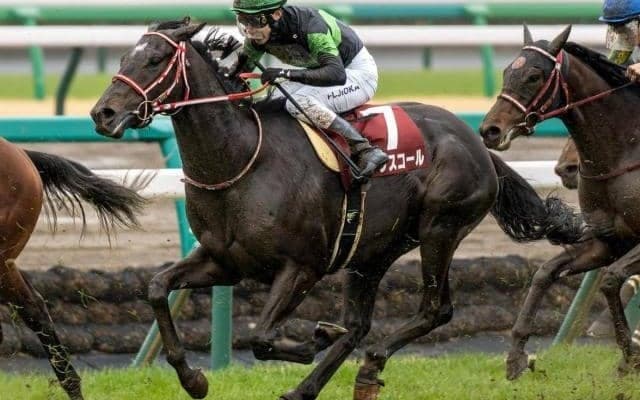 21年ぶりに1勝馬の皐月賞Vなるか 今年のエントリー馬を紹介