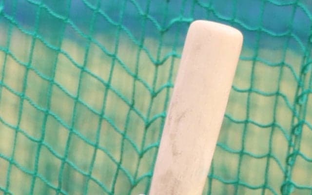 話題の”魚雷バット”に台湾球界も熱視線！MLBで本塁打量産も「慎重に見極める」と語る理由