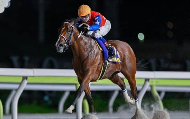 【大井・ブリリアントC枠順】無傷8連勝中のダテノショウグンは4枠4番