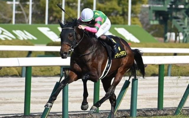 今年の皐月賞出走ボーダーは近年まれな金額 日本ダービー並みの高いハードルに