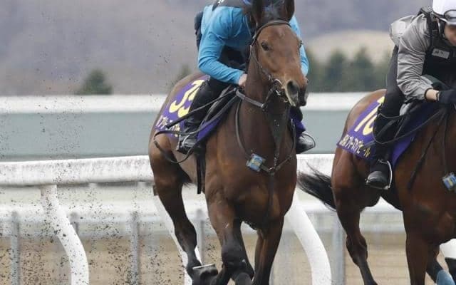 日高育成牧場でJRA育成馬展示会が開催 56頭がゴール前2ハロンの時計を計測