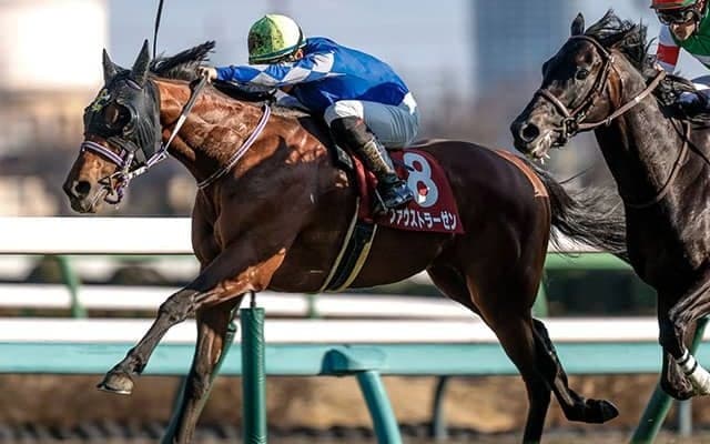 【皐月賞】21頭の香港馬名・馬名意味を紹介！『草地法師』『玄小駒』はどの馬？