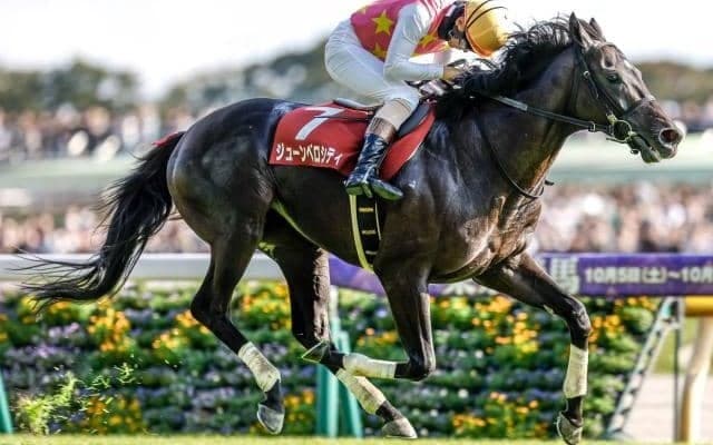 【中山GJ予想オッズ】ジューンベロシティが予想1番人気