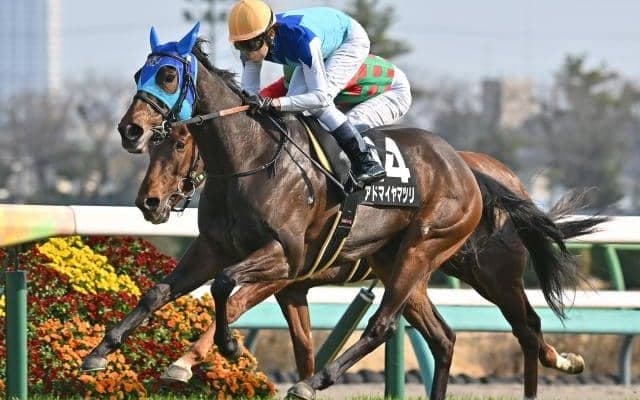 【福島牝馬S予想オッズ】アドマイヤマツリが予想1番人気