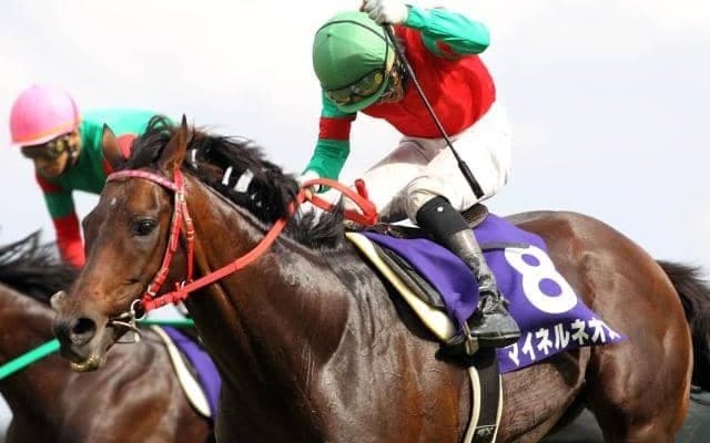 距離が10m延びた中山グランドジャンプ 86年以降の“国内最長記録タイ”に