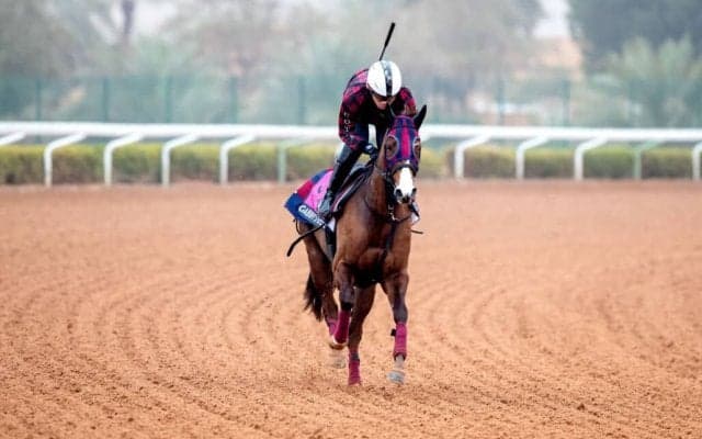 【東京スプリント】サウジ帰りのガビーズシスターは8枠15番へ