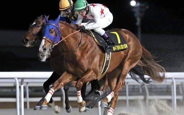 【アンタレスS予想オッズ】ミッキーファイトが予想1番人気