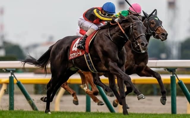 【皐月賞展望】傑出した存在のクロワデュノール中心