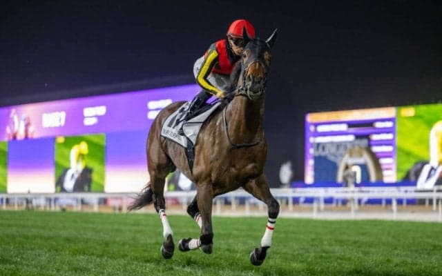 香港チャンピオンズデー出走予定馬の現地到着…リバティアイランドなど