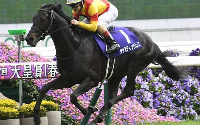 【天皇賞(春)想定】ジャスティンパレス、ブローザホーンなど13頭