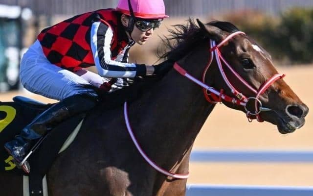  史上最高額のJRA・GI馬誕生なるか 矢作厩舎の3.2億円馬が皐月賞へ