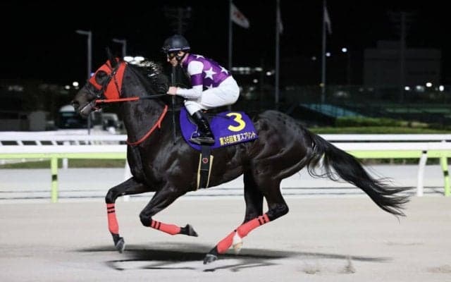 【東京スプリント】デムーロ「頑張ってはくれたのですが…」サンライズホークは惜しい2着