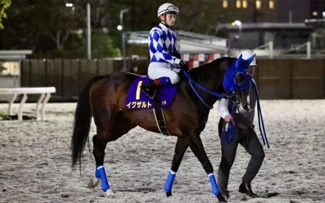 【東京スプリント】イグザルト・御神本「まだまだこれから」レース後ジョッキーコメント