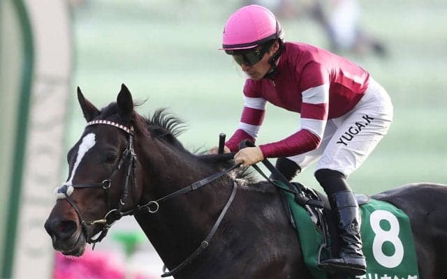 アンカツ厳選の「３歳牡馬番付」　打倒クロワデュノールを果たせる馬はいるのか？