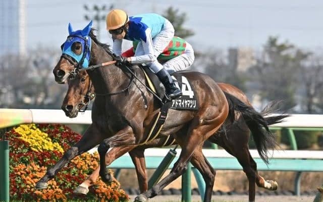 【福島牝馬S出走馬・騎手確定】アドマイヤマツリ＆田辺裕信騎手、ホーエリート＆原優介騎手など16頭