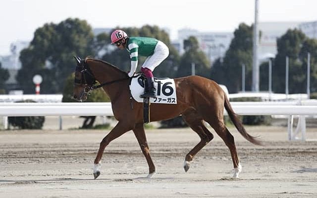 ブライアンズタイムの「2×2」 大井7Rで約2年ぶりの勝利に