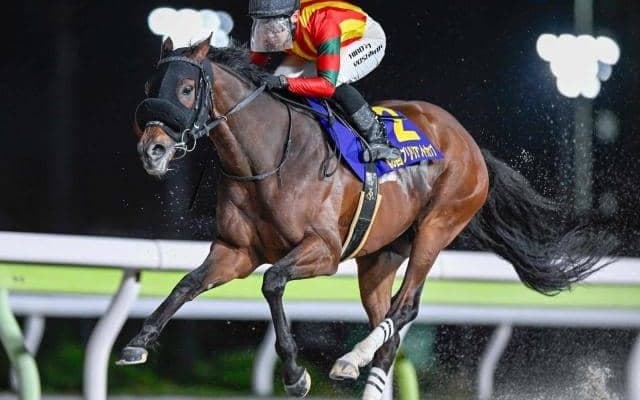 【大井・ブリリアントC結果】キングストンボーイが重賞3連勝！
