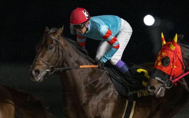 【武豊日記】今回はようやくの適鞍です