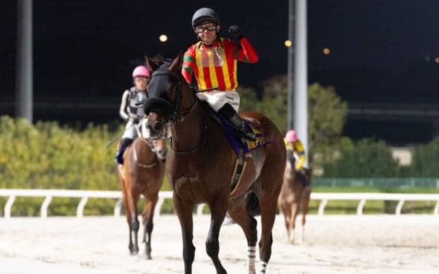 【ブリリアントカップ】入場人員は前年比で増加で171%