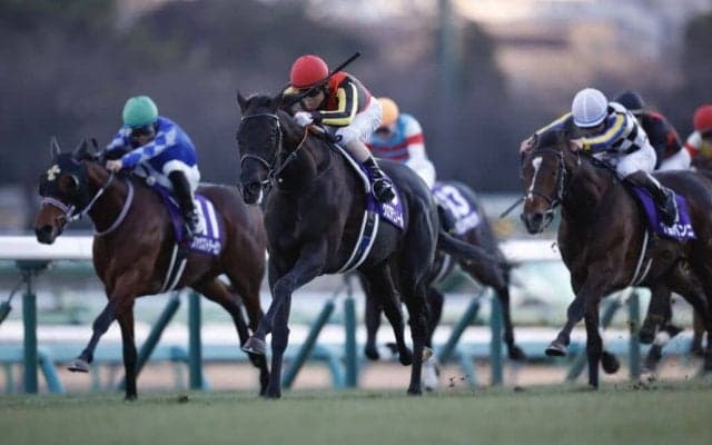 【皐月賞】クロワデュノールは494kg…出走馬の調教後の馬体重