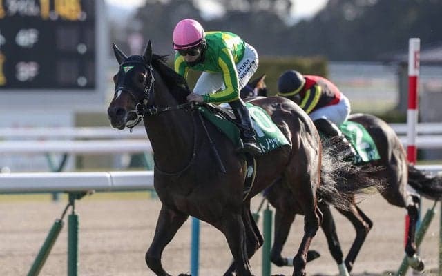 【競馬予想】クロワデュノールは本当に鉄板か!?　皐月賞、ダービーの行方も占う「３歳牡馬ランキング」