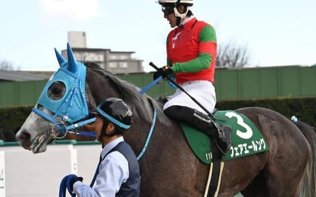 【福島牝馬S枠順確定】フェアエールングは3枠5番、アドマイヤマツリは1枠1番