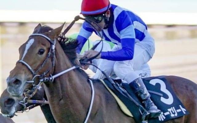 福島牝馬Sは道悪かも ホーエリートなど2頭に注目