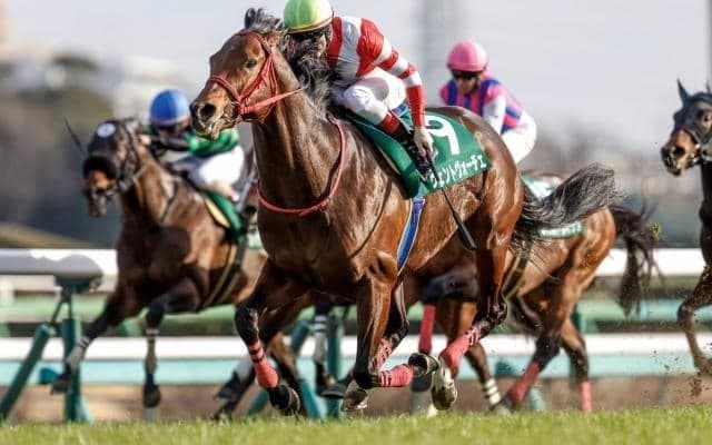 短距離重賞2勝のヴェントヴォーチェが登録抹消 今後は乗馬に