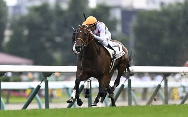 GI・2勝の母を持つ良血馬 重賞5着と同舞台の自己条件で巻き返しへ