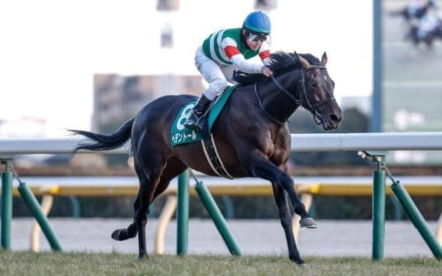 【天皇賞(春)想定馬・騎手】ヘデントール、ジャスティンパレスなど13頭