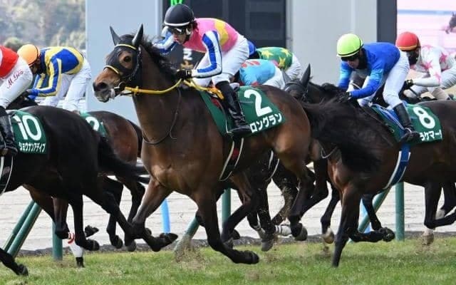 【マイラーズC想定馬・騎手】ロングラン、ジュンブロッサムなど8頭