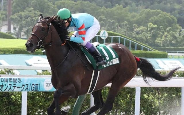 武豊騎手 今週の騎乗馬…ヤマニンウルスとコンビ復活
