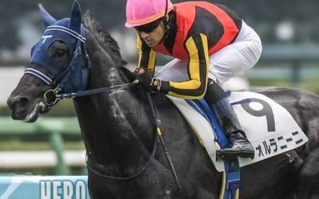 伯父はGI・2勝のサトノダイヤモンド 好走続きの良血馬が待望の2勝目狙う