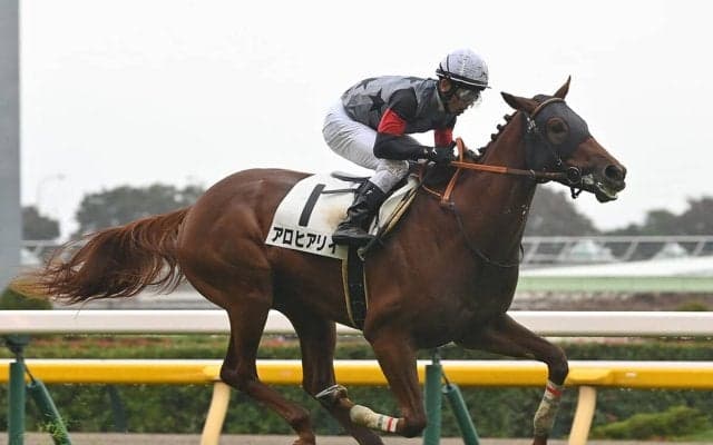 【競馬予想】皐月賞はクロワデュノールの一強ムードも......レースに縁がある血統を持つ２頭に激走の気配