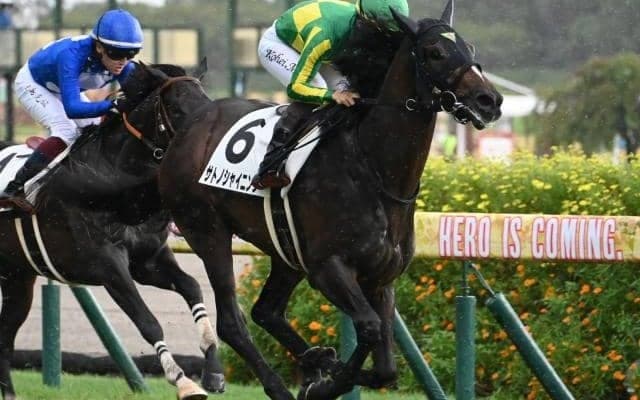 【皐月賞予想】ハイレベルレースや中山でのレース経験が重要!? 前走で重賞勝利も消去法データに該当した人気馬とは