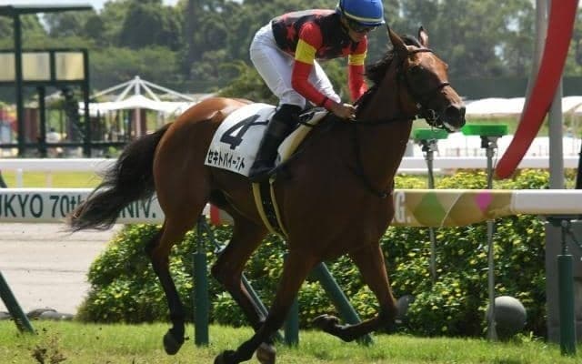 【福島牝馬S予想】前走中山牝馬S組が中心も取り扱いには要注意!? 傾向や展開面で苦戦が予想される人気馬とは
