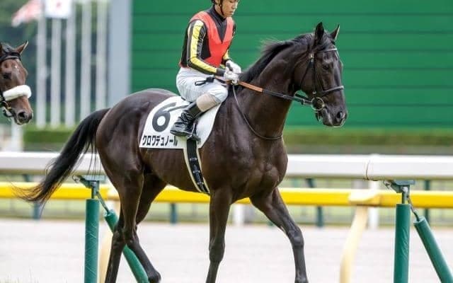 【皐月賞前日オッズ】クロワデュノールが1.5倍で1番人気