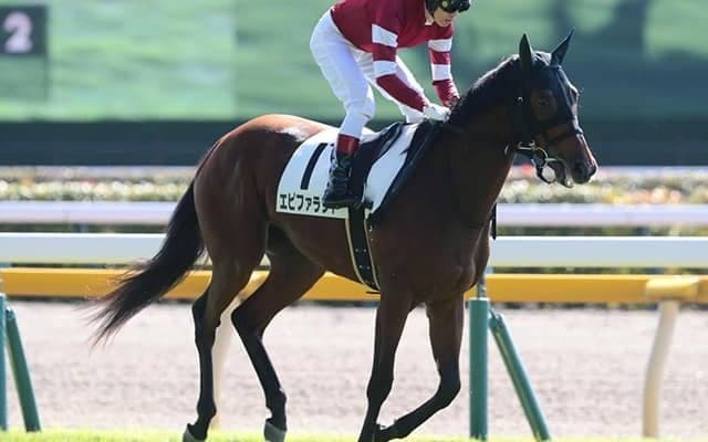 「ウマ娘」藤田晋オーナーの億超えホースが初勝利へ 伯母はデニムアンドルビー