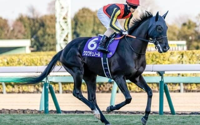 【皐月賞予想】力の比較は近年難しい傾向に 要求される3つの要素とは