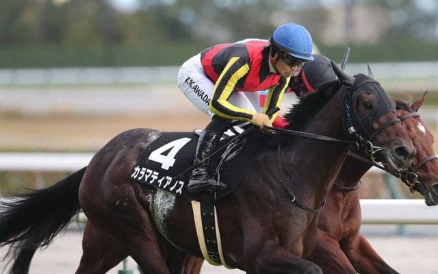 【競馬予想】皐月賞はクロワデュノールの相手探し　好配当見込める「ヒモ」２頭で勝負