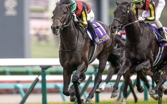 【皐月賞】今週もモレイラ騎手！ ミュージアムマイルが突き抜け戴冠！ 2歳王者クロワデュノール2着