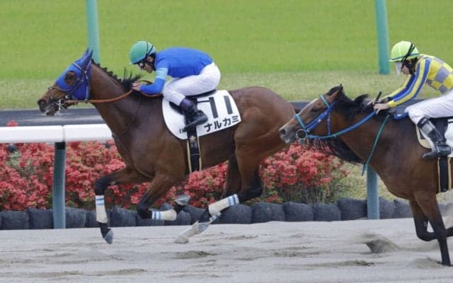 【中山6R】転厩初戦のナルカミが快勝で2勝目…新馬戦では大差圧勝