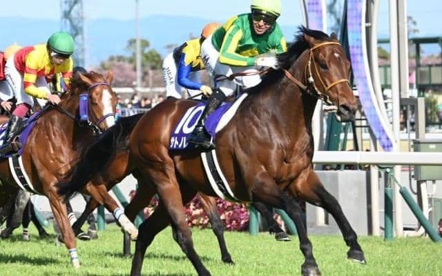 ダービーTR青葉賞・オークスTRフローラSなどJRA3重賞 香港チャンピオンズデーも/今週の競馬界の見どころ