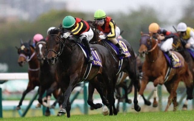 【皐月賞】北村友「申し訳ないです」レース後ジョッキーコメント