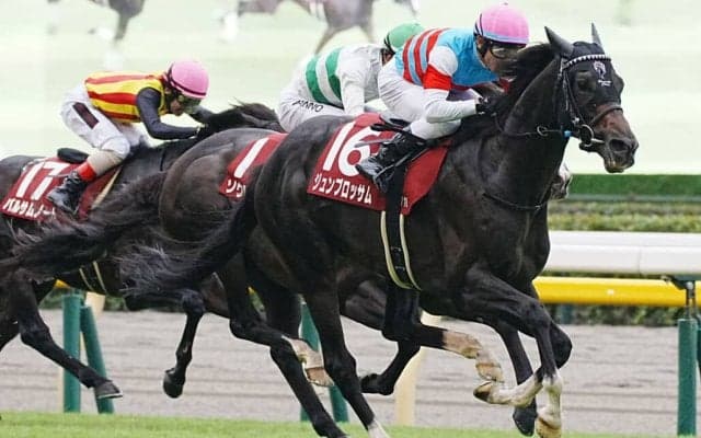 【マイラーズカップ登録馬】ジュンブロッサムなど10頭