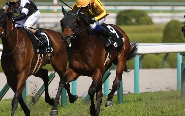 【マイラーズC見どころ】セオが重賞初制覇に王手