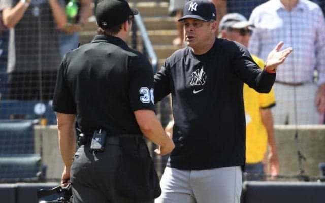 「MLBは調査を行うべきだ」ジャッジの大飛球に“疑惑”の目「明らかにホームラン」　ファウル判定後にまたも…指揮官が激高で退場