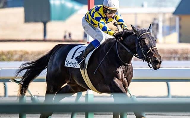 【フローラS想定騎手】グローリーリンクは松山弘平騎手、ブラックルビーは戸崎圭太騎手