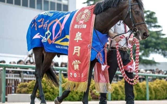 ミュージアムマイルが該当 リオンディーズ産駒の注目配合パターンとは？